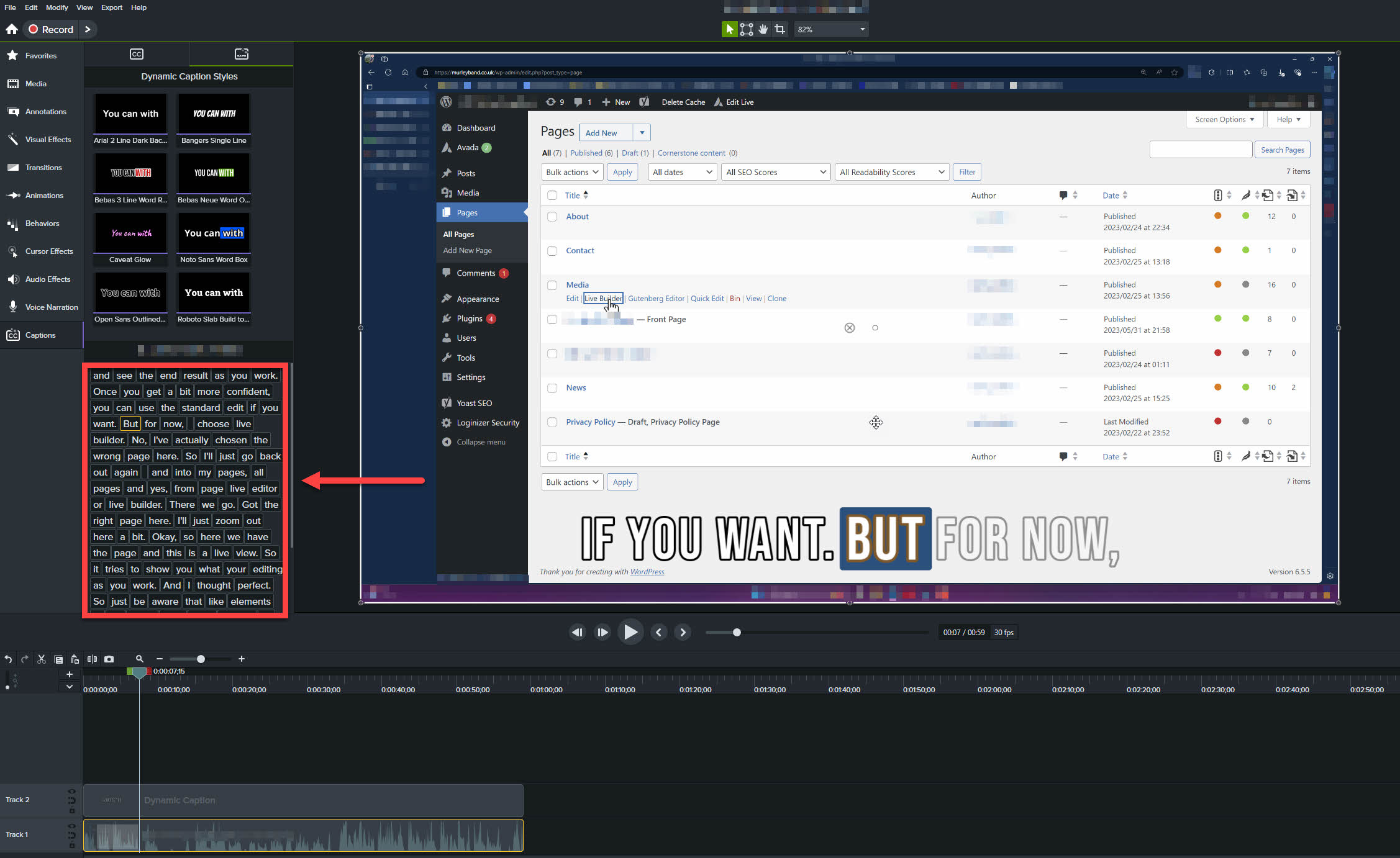 Screenshot showing the small interface of the Camtasia Transcript area.