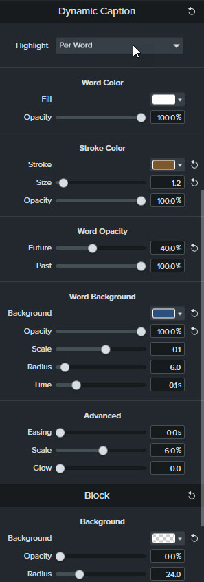 Screenshot showing all the settings for Camtasia Dynamic Captions